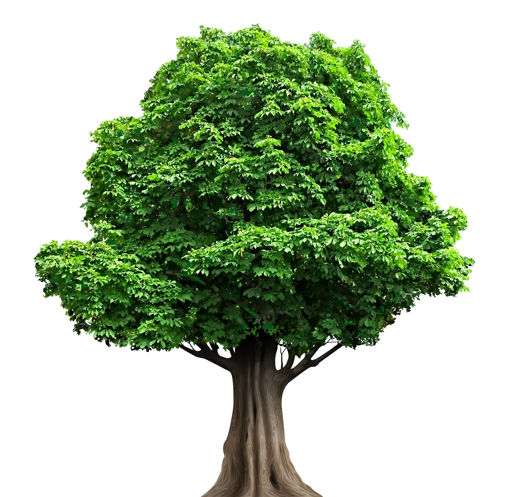 Reliable Tree Service